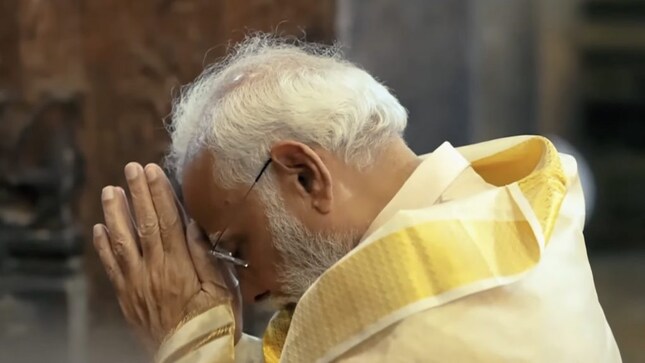 No Pappu, no Kejriwal, no Dulha; Spotlight is on PM Modi's development agenda in new BJP campaign